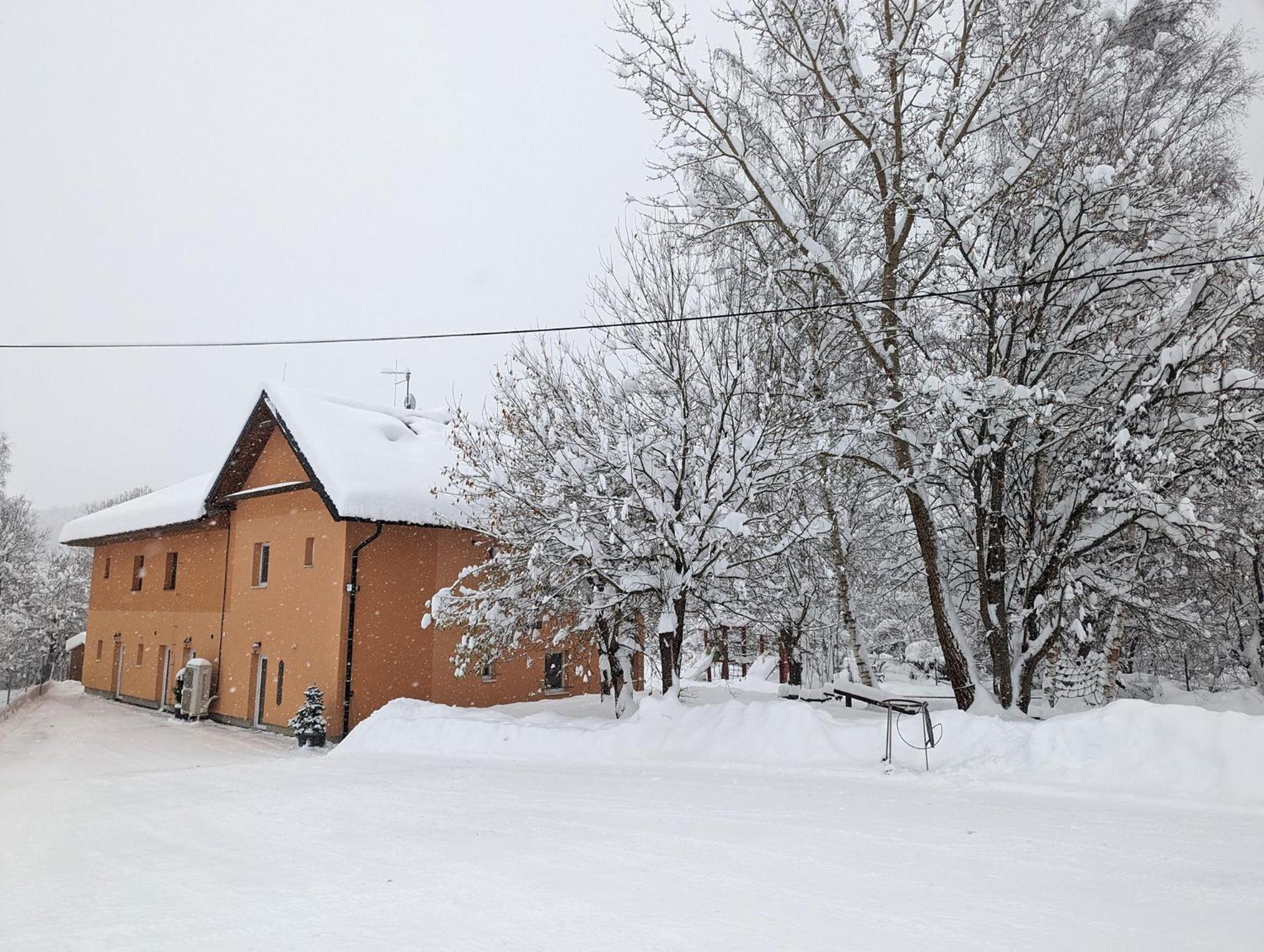 Apartments Nad Rybniky Horni Plana Luaran gambar